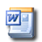 Microsoft Word Document
